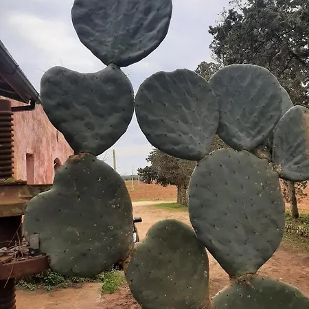 Feriegård Masseria Piutri *